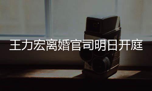 多项对决庭 宏离婚官日开证据王力均提司明双方