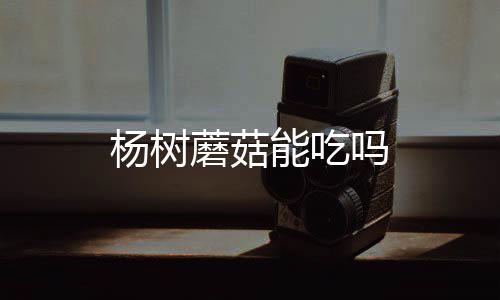 蘑菇吗杨树能吃
